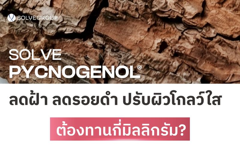 Solve Pycnogenol ลดฝ้า ลดรอยดำ ปรับผิวโกลว์ใส 