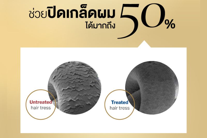 ช่วยปิดเกล็ดผม ได้มากถึง 50% 