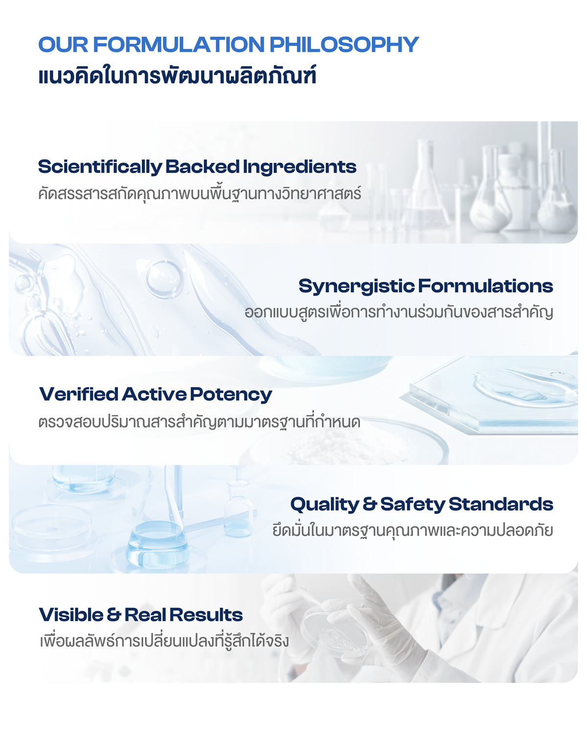 formulation-philosophy