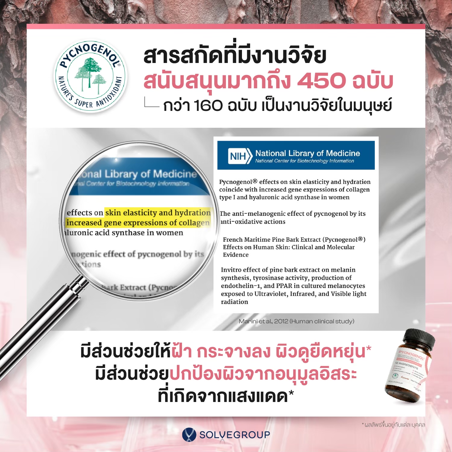 Solve Pycnogenol® (พิกโนจีนอล สารสกัดเปลือกสนฝรั่งเศส) + สารสกัดมะเขือเทศ + เซราไมด์จากข้าว - Image 5