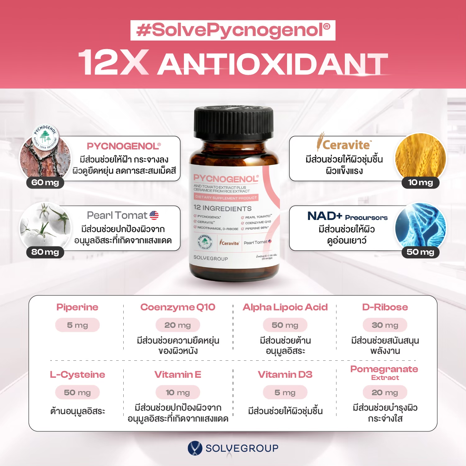Solve Pycnogenol® (พิกโนจีนอล สารสกัดเปลือกสนฝรั่งเศส) + สารสกัดมะเขือเทศ + เซราไมด์จากข้าว - Image 6