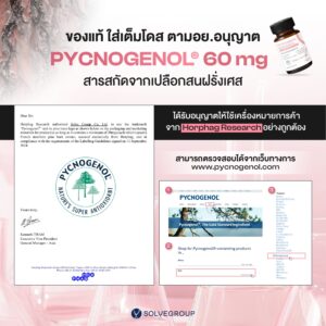Solve Pycnogenol® (พิกโนจีนอล สารสกัดเปลือกสนฝรั่งเศส) + สารสกัดมะเขือเทศ + เซราไมด์จากข้าว - Image 7