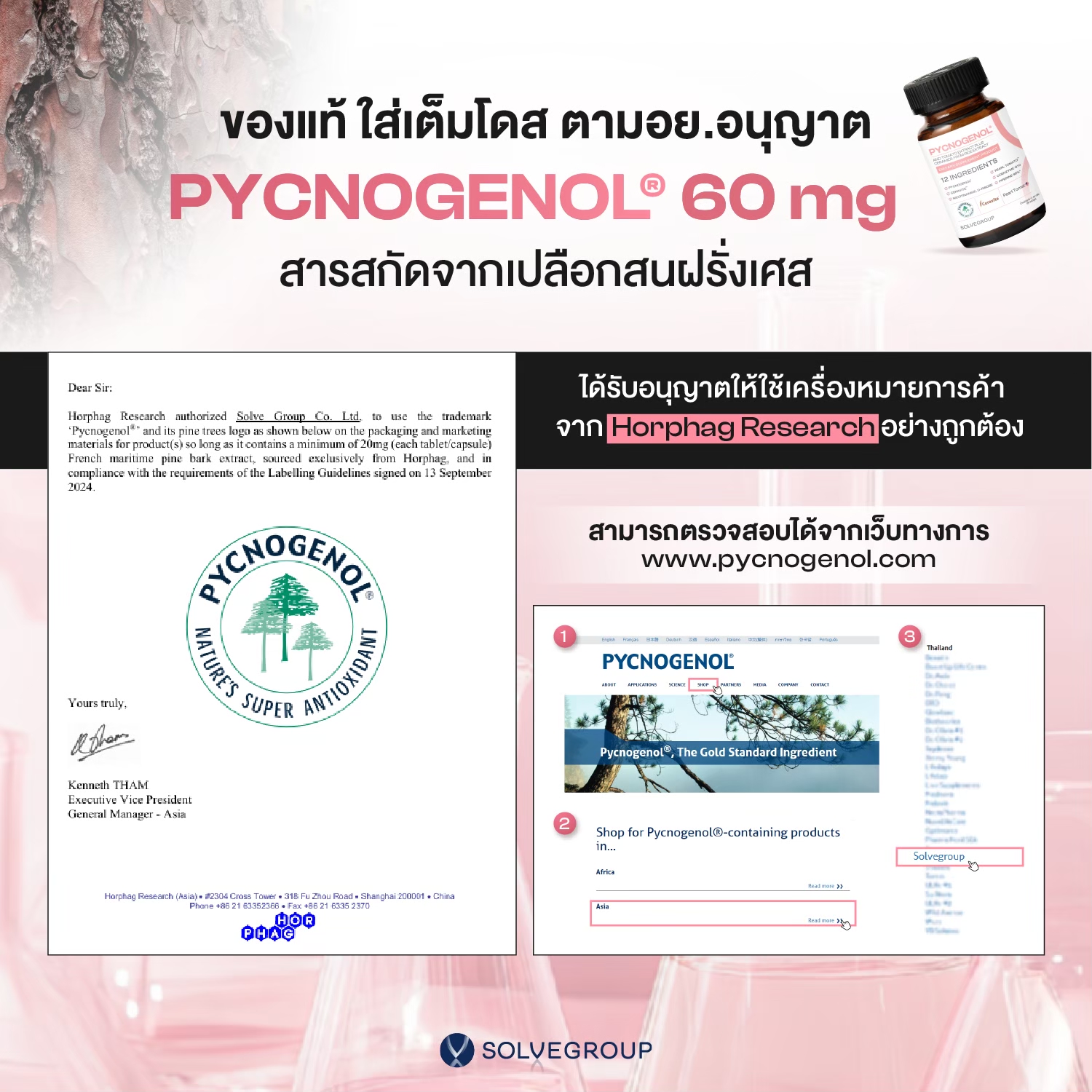 Solve Pycnogenol® (พิกโนจีนอล สารสกัดเปลือกสนฝรั่งเศส) + สารสกัดมะเขือเทศ + เซราไมด์จากข้าว - Image 7