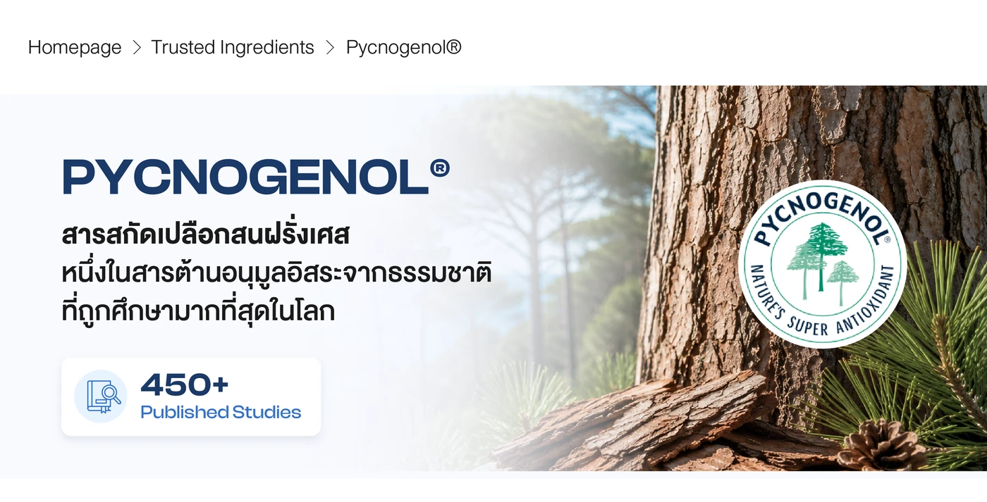 pycnogenol