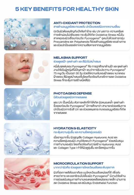 pycnogenol