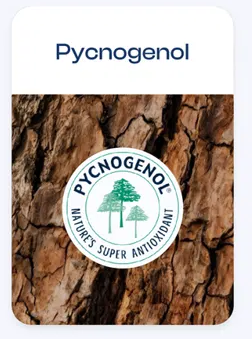 pycnogenol